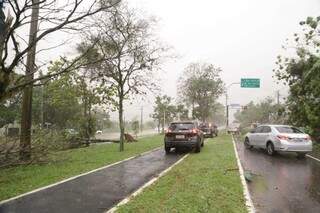 No temporal da última semana, carros tiveram de passar pelo canteiro da Avenida Afonso Pena, para desviar de árvores. (Foto: Kísie Ainoã)