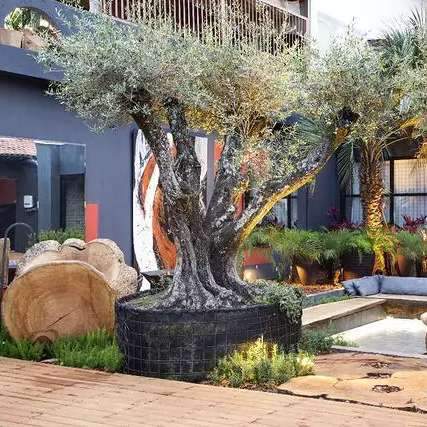 Jardim ganha oliveiras de 165 anos e banheira de madeira a céu aberto