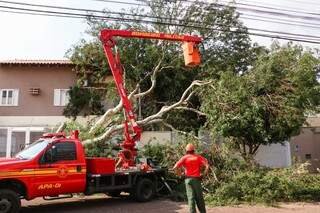 Bombeirso cortando galhos de árvore no bairro Vivendas do Bosque (Foto: Henrique Kawaminami)