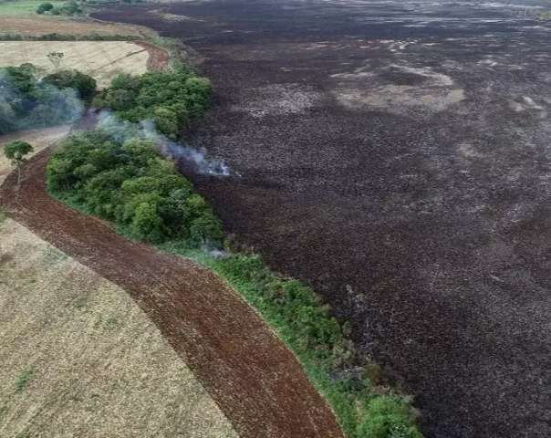 Inc&ecirc;ndio consumiu &aacute;rea de conserva&ccedil;&atilde;o pr&oacute;ximo a Serra da Bodoquena 