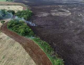 Imagens feita com drone mostra o tamanho da área destruída pelas chamas (Foto: Fundação Neotrópica do Brasil)