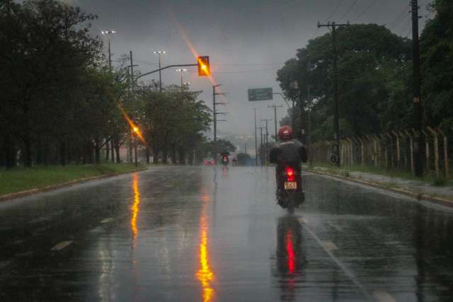 Chuva de 101 mil&iacute;metros em 9 horas derrubou ao menos 11 &aacute;rvores em Campo Grande