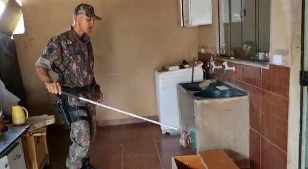 Jiboia &eacute; encontrada na &aacute;rea em casa na zona urbana de cidade em MS