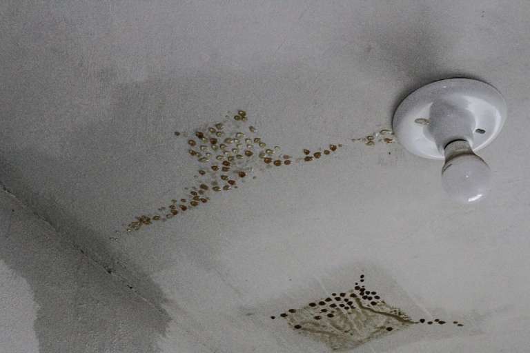 Mesmo quem mora em andares de baixo sofreu com as goteiras provocadas pelos destelhamentos e chuva (Foto: Marcos Maluf)