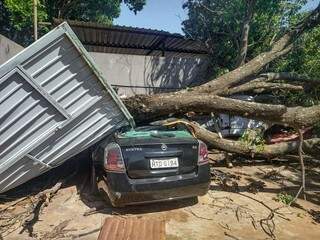 Carro destruído por Ipê. (Foto: Marcos Maluf)