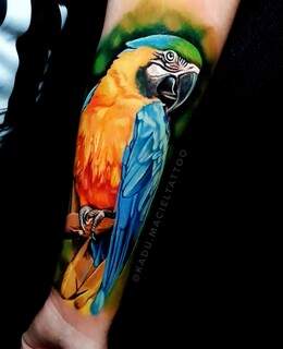 Tatuagem de arara colorida feita no antebraço de um homem. (Foto: Arquivo pessoal)