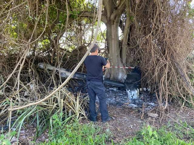 Cauda é encontrada longe de helicóptero e sinais em árvores indicam colisão