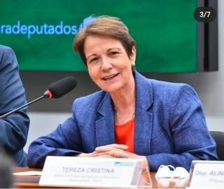Ministra da Agricultura, Tereza Cristina, durante agenda nesta semana. (Foto: Instagram)