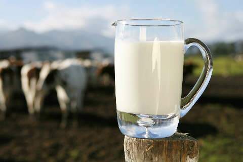 Preço do leite pago ao produtor em outubro recua 2,2% 