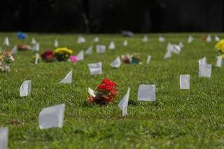 Vento amainava o calor e tremulava as bandeiras brancas pelo gramado de cemitério. (Foto: Marcos Maluf)