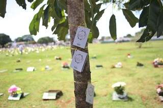 Cartões poderiam ser pendurado nas árvores (Foto: Paulo Francis)