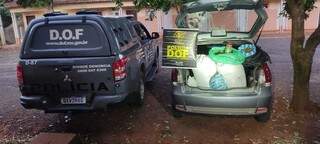 Dupla foge correndo de hotel e abandona carro com R$ 150 mil em skunk  