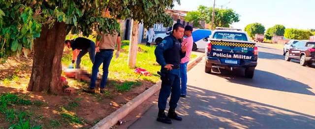 Idoso &eacute; encontrado morto embaixo de &aacute;rvore em terreno baldio