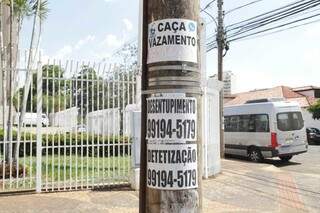 Publicidades coladas em poste de energia elétrica na Dom Aquino. (Foto: Kísie Ainoã)