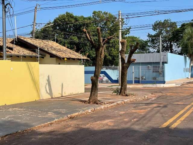 Poda radical em &aacute;rvores &eacute; proibida, mas ocorre com frequ&ecirc;ncia na Capital