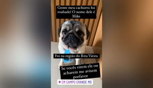 Ladr&atilde;o arromba resid&ecirc;ncia, faz limpa e leva at&eacute; cachorro no Rita Vieira