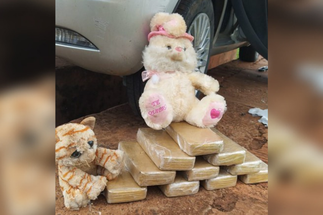 Avaliada em R$ 1 milh&atilde;o, coca&iacute;na &eacute; apreendida escondida com bichos de pel&uacute;cia