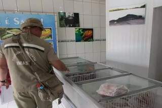 Fiscais conferem estoque de pescado existente em estabelecimentos. (Foto: Divulgação)