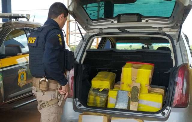 Traficante &eacute; preso a caminho de SP com 199 quilos de maconha 