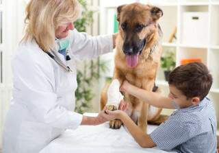 Seu pet terá atendimento com rede dos melhores especilistas. (Foto: Divulgação)