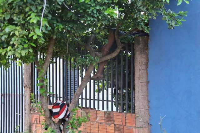 Baleado no peito, homem estava h&aacute; pelo menos 12h sobre grade