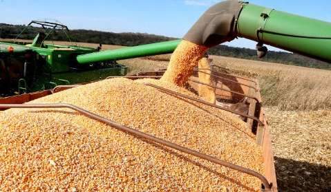 Produção agrícola cai, mas MS se mantém como 5º maior do País