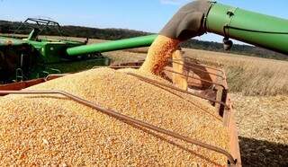 Produ&ccedil;&atilde;o agr&iacute;cola cai, mas MS se mant&eacute;m como 5&ordm; maior do Pa&iacute;s