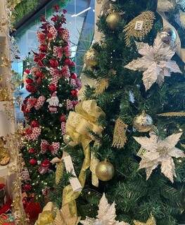 Rec&eacute;m-reinaugurada - A Magia do Natal est&aacute; na Quinta Casa