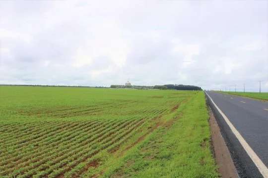 Projeto permite plantio em beira de rodovia e parte ir&aacute; para assist&ecirc;ncia social