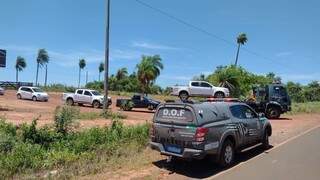 Cinco veículos foram apreendidos. (Foto: Divulgação, DOF)