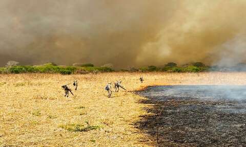 Levantamento mostra redução nos focos de calor e área queimada no Pantanal 