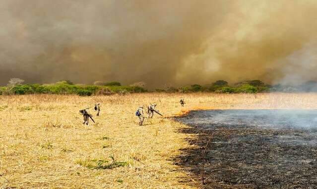 Levantamento mostra redu&ccedil;&atilde;o nos focos de calor e &aacute;rea queimada no Pantanal 