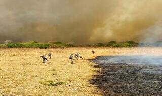 Militares durante combate a incêndio no Pantanal. (Foto: Corpo de Bombeiros de MS)