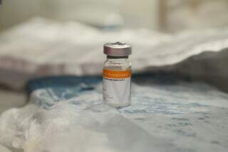 Dose de vacina disponível para aplicação em unidade de saúde da Capital. (Foto: Arquivo)