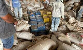 Fardos de maconha sob sacos de sementes armazenados em barracão (Foto: Divulgação)