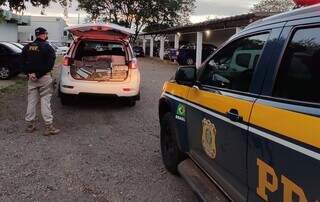 Carro com a droga foi levado para a Delegacia de Polícia Civil. (Foto: Divulgação | PRF)