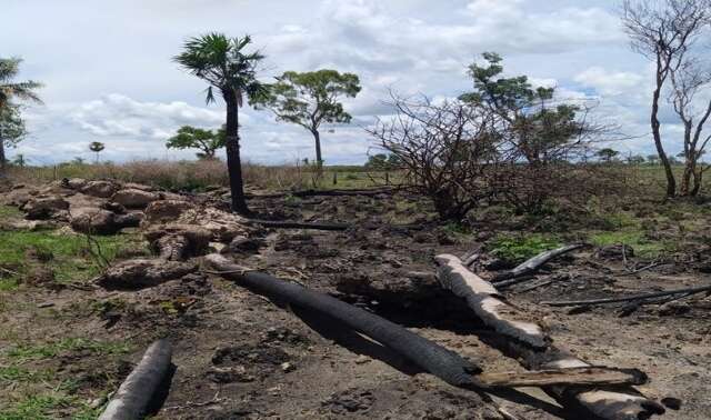 Fazendeiro Multado Em R Mil Por Desmatar E Incendiar Mata