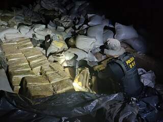 Policial do DOF ao lado de fardos de maconha encontrados em depósito de sementes. (Foto: Divulgação)