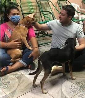 Deputado estadual, João Henrique Catan (PL), faz carinho em cachorros resgatados pela ONG Pedacinho do Céu. (Foto: Divulgação) 