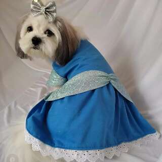 Giselle faz roupas para pets virarem princesas da Disney ou Lady Gaga