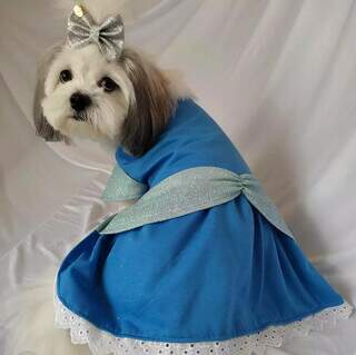 Cachorrinha vestida de Cinderela, vestido feito por Giselle. (Foto: Arquivo Pessoal)