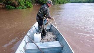 Militar retirando os 120 metros de rede do rio (Foto: Divulgação/PMA)