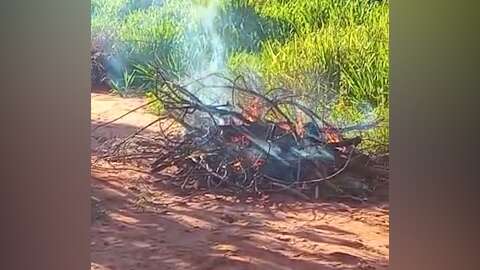 Cavalo morto é queimado por moradores que não conseguiram remoção