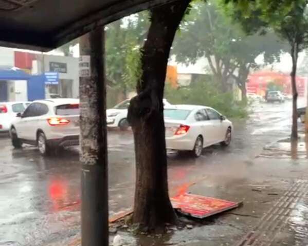 Com chuva de minutos, &aacute;rvore cai e bloqueia tr&acirc;nsito no Centro