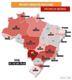 Mapa indica valor do prejuízo financeiro por conta de incêndios florestais em cada estado do Brasil. (Arte: Henrique Lucas)