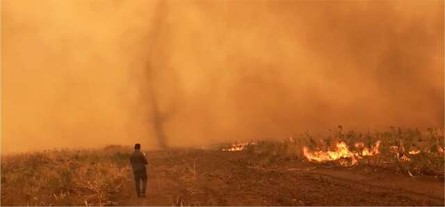 Inc&ecirc;ndios florestais causam perdas de meio bilh&atilde;o em MS, maior preju&iacute;zo do Pa&iacute;s