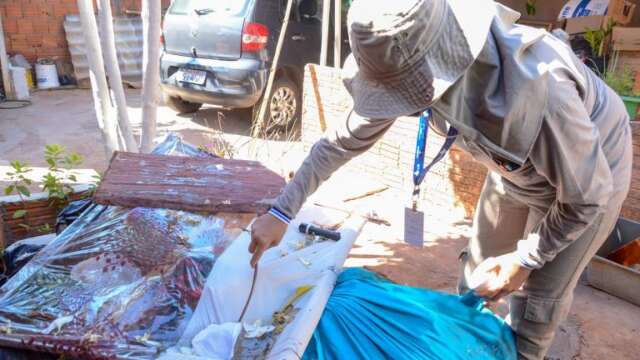 Levantamento coloca 4 bairros da Capital em alto risco de dengue