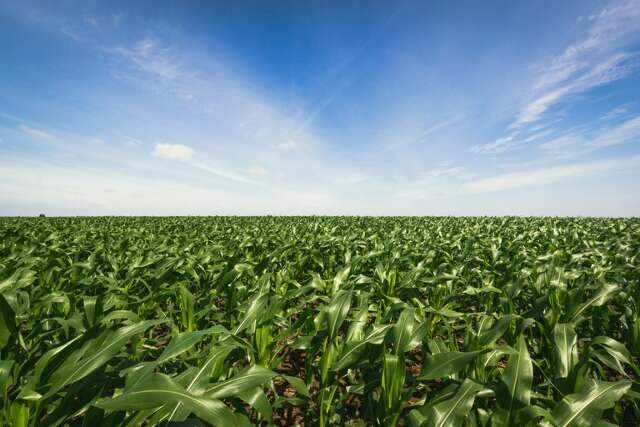 Brasil lidera produtividade agropecuária entre 187 países, aponta estudo do USDA