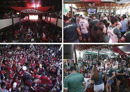 Torcidas do Palmeiras e Flamengo dividem paixão e disputam sonho da vitória