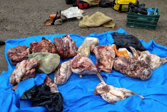 Dupla &eacute; pega com suspeita de transporte de carne de ca&ccedil;a